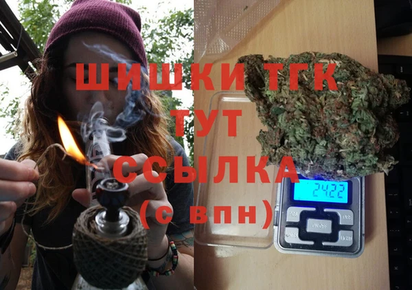 спиды Богородицк