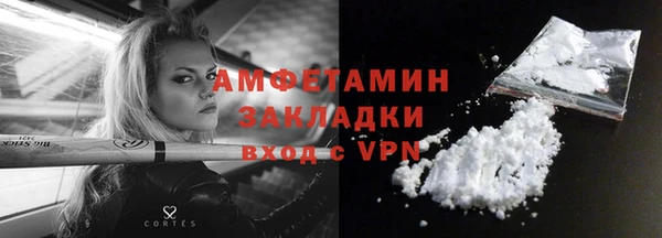 спиды Богородицк