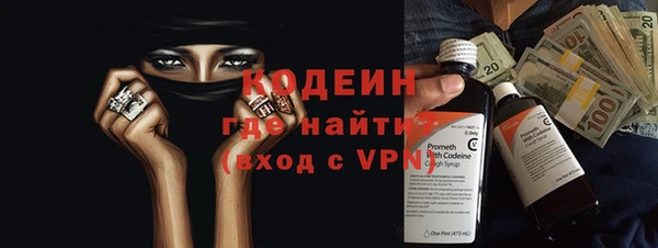 спиды Богородицк