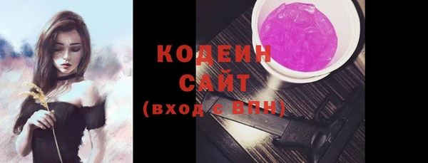 индика Богданович