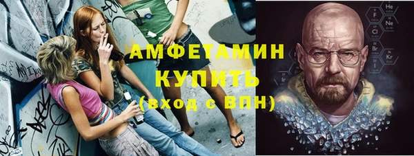 индика Богданович