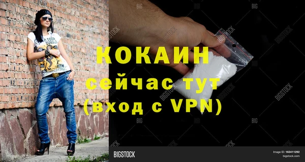 mix Белокуриха
