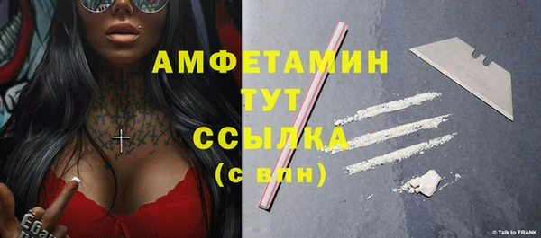 спиды Богородицк