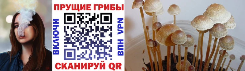Псилоцибиновые грибы ЛСД  Бутурлиновка 